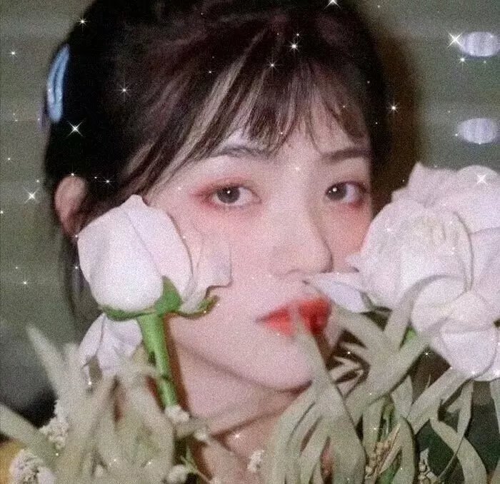 寻找法蒂玛